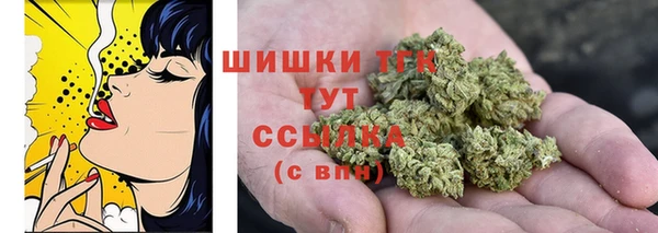 МДПВ Покровск