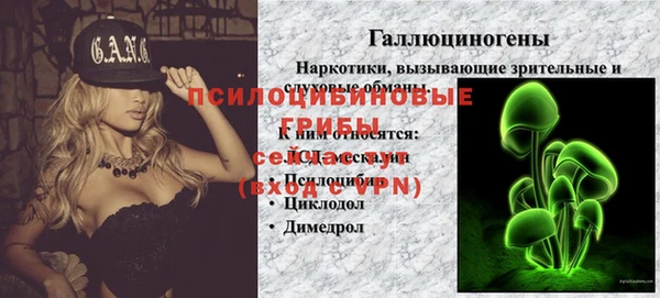 сатива Осинники