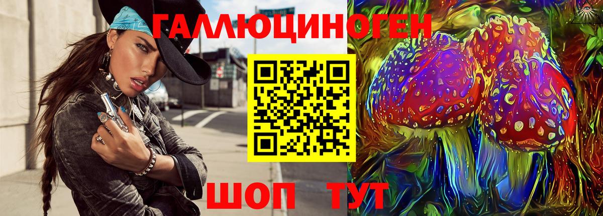Псилоцибиновые грибы мицелий Саяногорск
