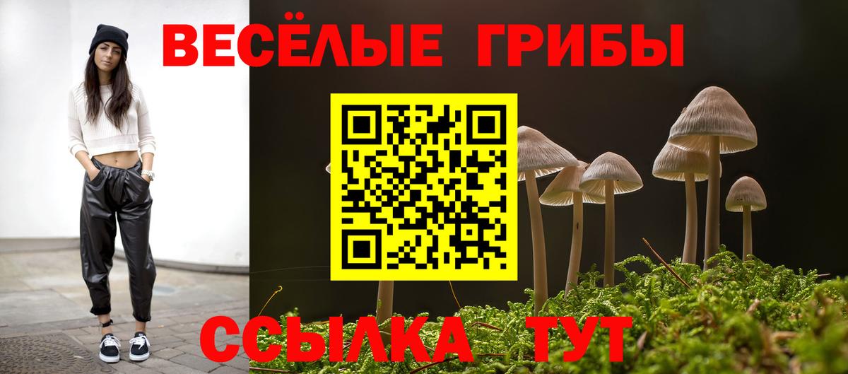как найти наркотики  Вход с VPN  Псилоцибиновые грибы Magic Shrooms  Саяногорск  Псилоцибиновые грибы прущие грибы 